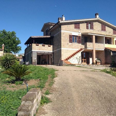 La Tana Di Stefano Hotel Anguillara Sabazia Exterior photo